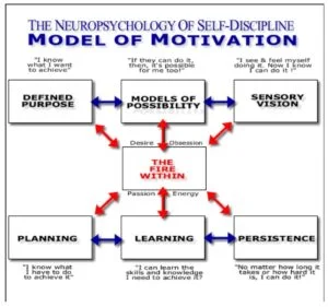 self discipline -seven step process