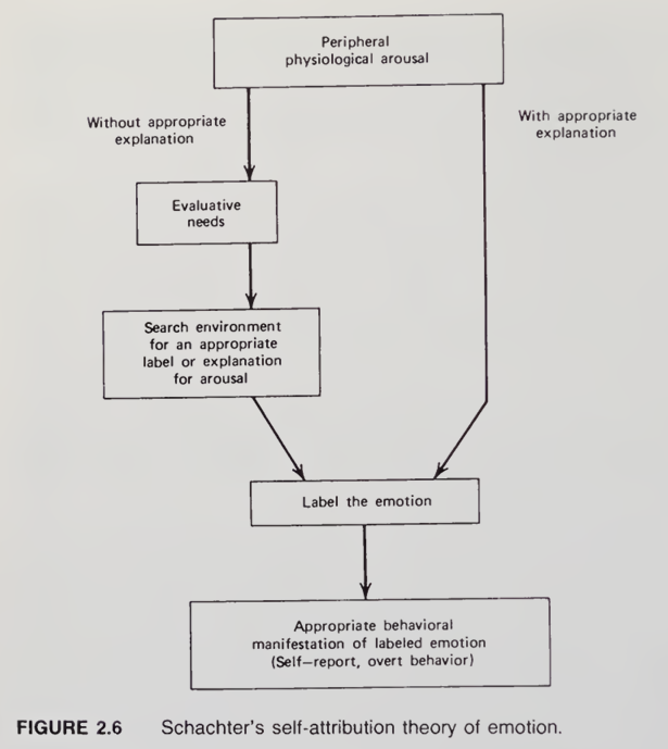 Schachter-Singer Theory of Emotion