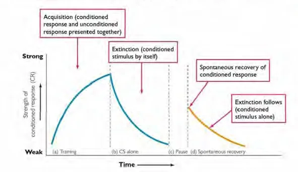 Acquisition, Extinction,and Spontaneous Recovery