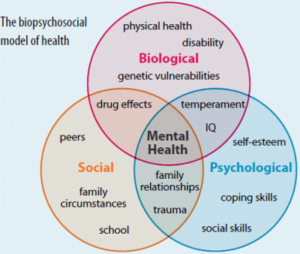 Biopsychosocial Model of Health