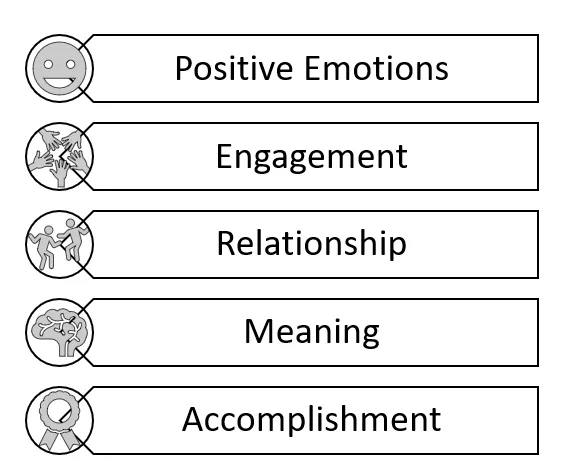 nature of positive psychology