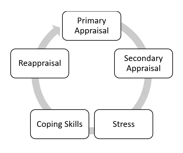 cognitive mediation theory