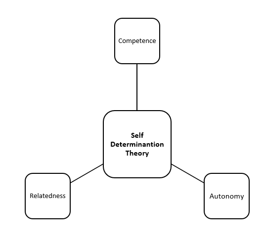 self determination theory
