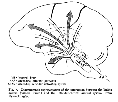 Eysenck's Theory of Personality