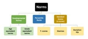 Norms in Psychological Testing: Transform Raw Data into Meaningful ...