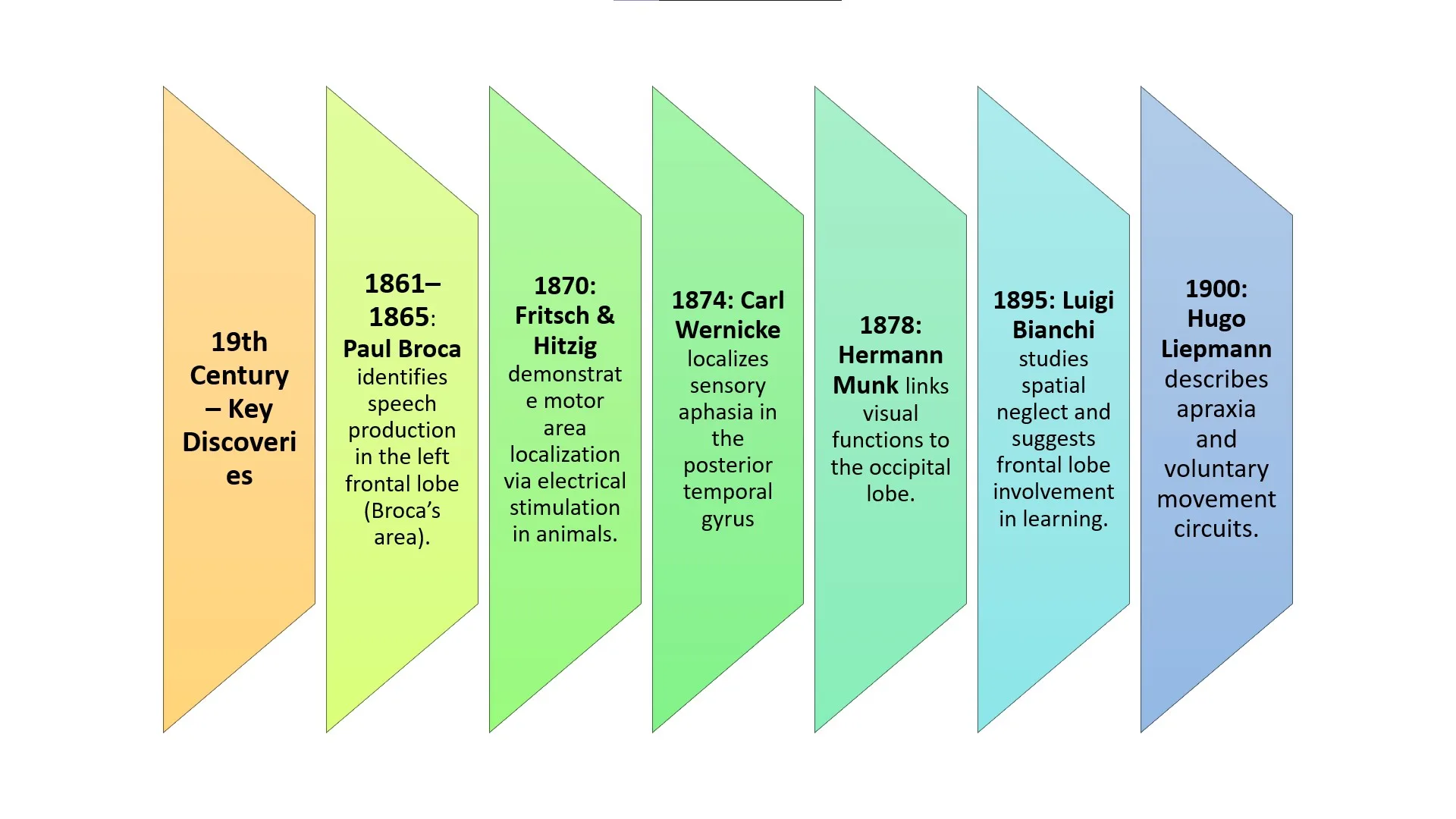 History of Neuropsychology 19th century