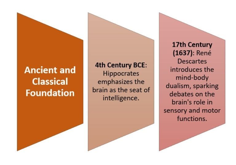 The History of Neuropsychology: From Ancient Theories to Modern ...
