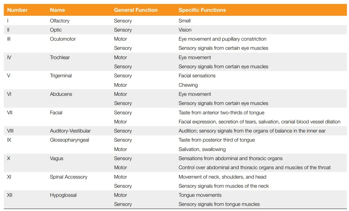 peripheral nervous system : Functions of cranial nerves