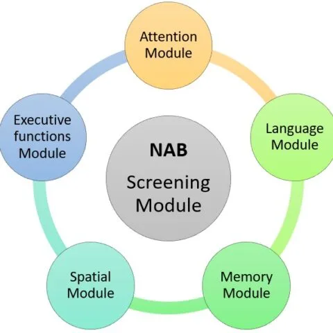 Neuropsychological Assessment Battery : screening module