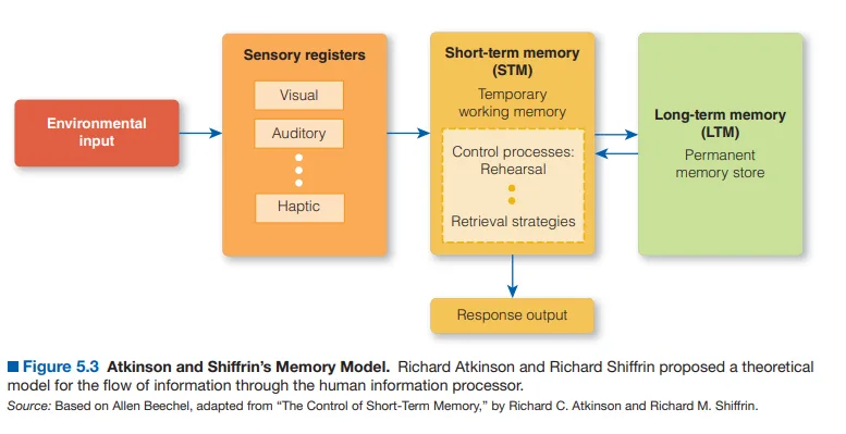 Models of memory