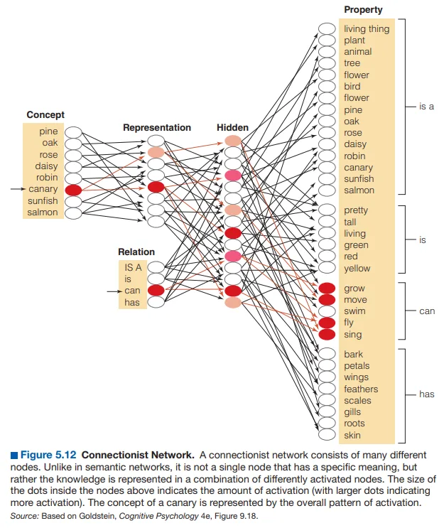 Connectionist perspective