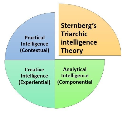 Sternberg's theories of intelligence