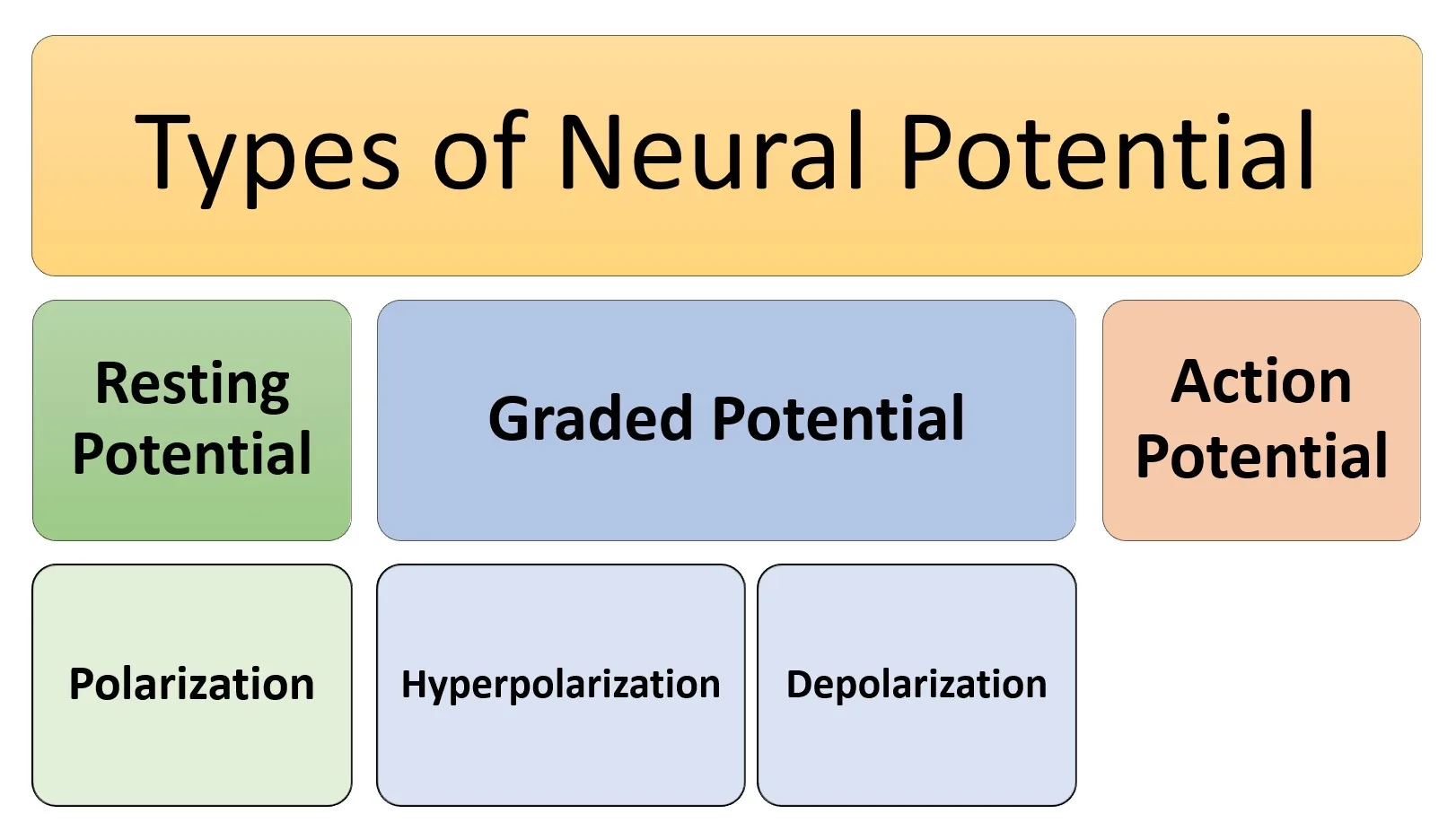 Types of neural potential