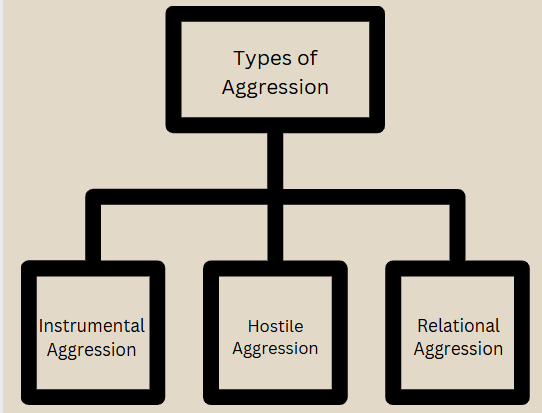 aggression in sports
