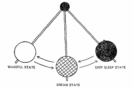 States of Consciousness