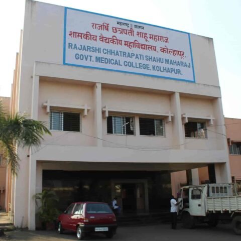 Mental Health Counselor